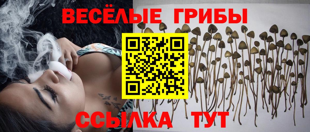 Галлюциногенные грибы MAGIC MUSHROOMS  Галлюциногенные грибы Cubensis  Вход с VPN  Артёмовский 